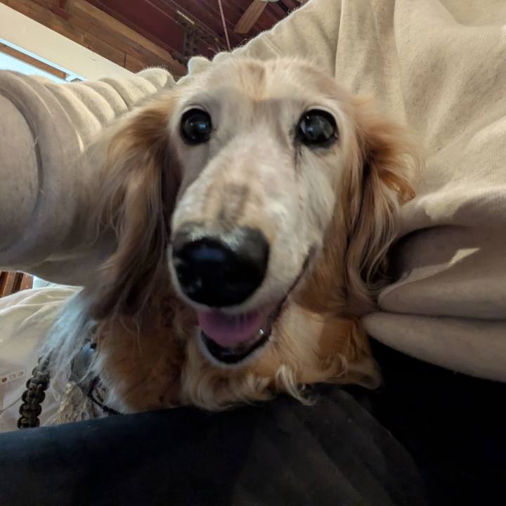 98863f4a 07a8 4dd3 8df2 a8b5dc8a939e 1761980449101