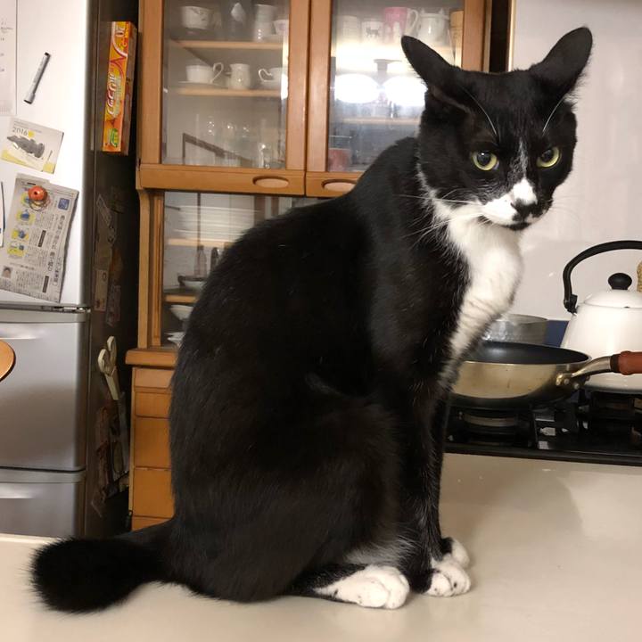 98864bd5 e5ee 4d2c b4f3 1d1c6467f598 1532751057353