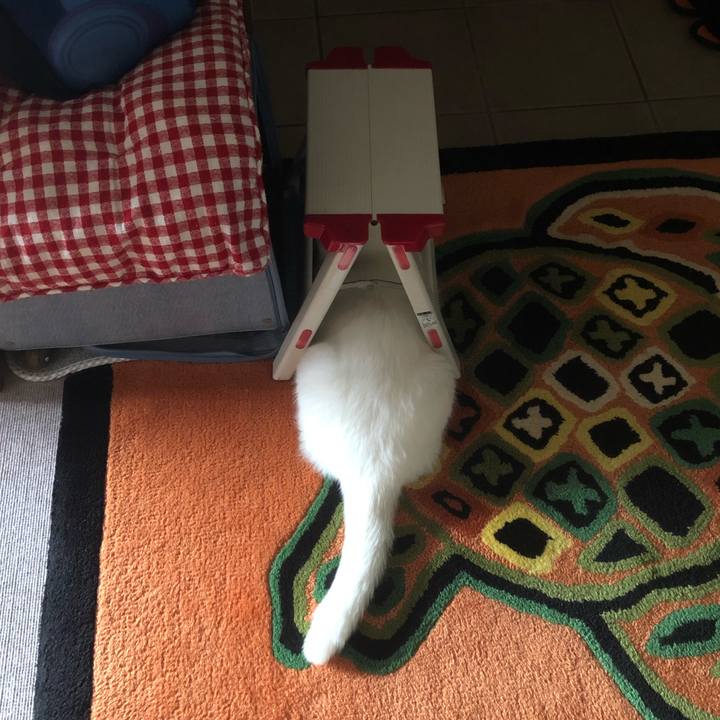 988669c0 4a10 44d0 804f beddc4b0d0a9 1665364490445