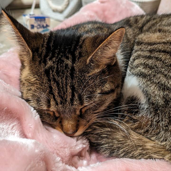 98868244 b4bc 44d3 b066 155342786d2f 1703673565051