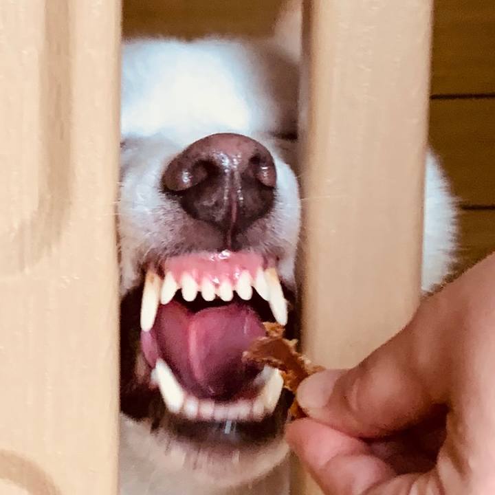 98868ec9 21dc 436c 80ab a927e2dfe57c 1568612651893