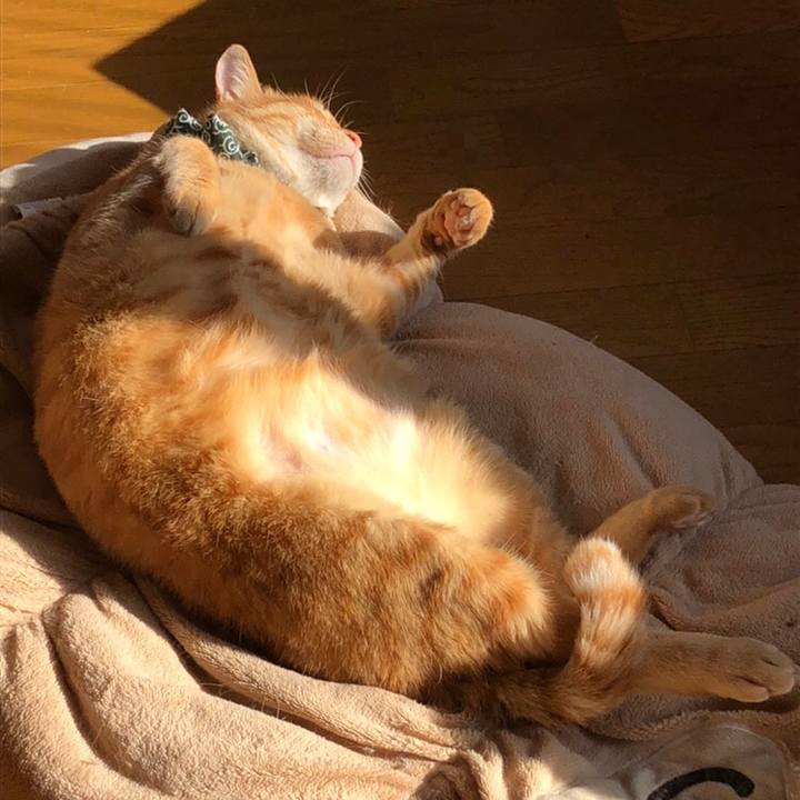 9886932a 39e7 44a5 873c 98d30aebf146 1584833922482