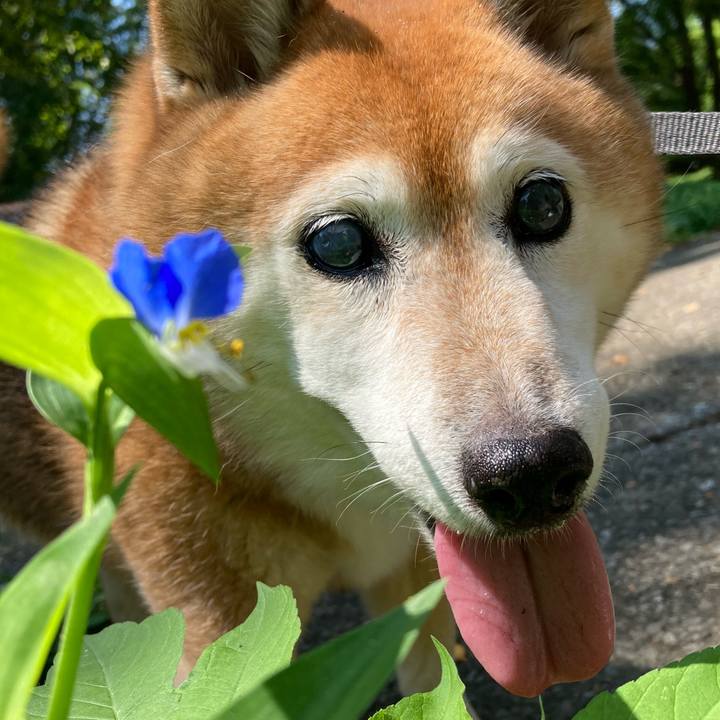 98869bc9 13fc 46cb 9351 a759133d5092 1722750192981