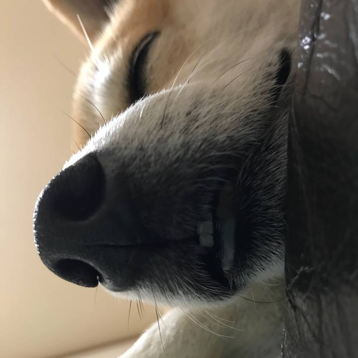 98869e0e 31a8 4a2c a6e8 dfe9c6936583 1530707483006