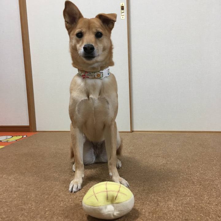 9886a1c4 4e7f 4048 906f c5a357fa0bea 1547516949494