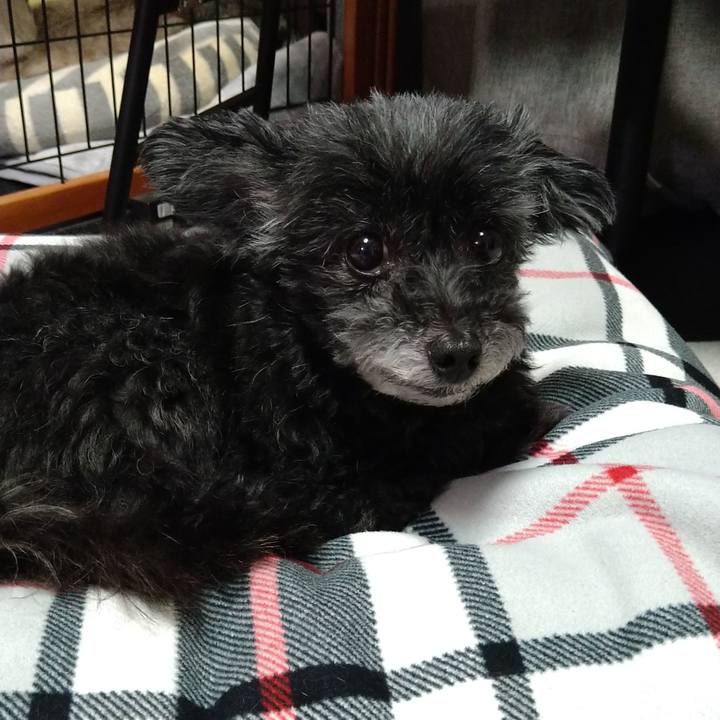 9886a6f8 e837 4ff7 87a2 91e94465f925 1653139426655