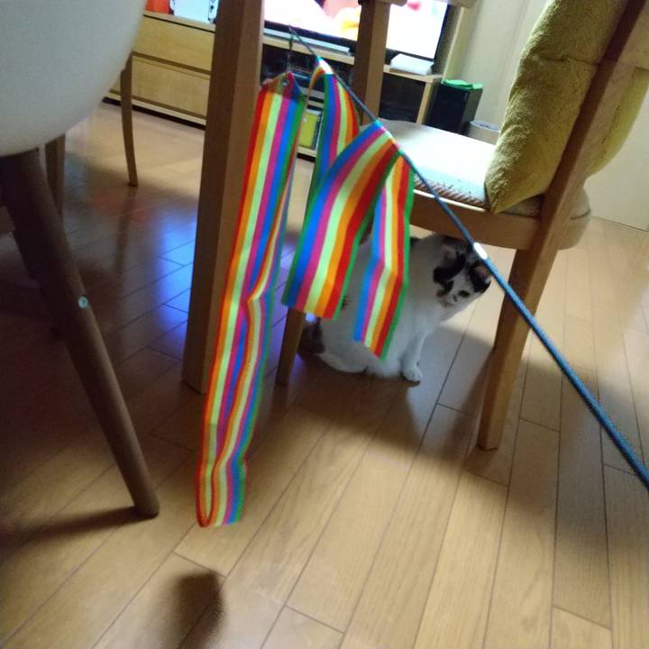 9886b4e6 eea9 433e aeaf f353fd1eee99 1683451907555