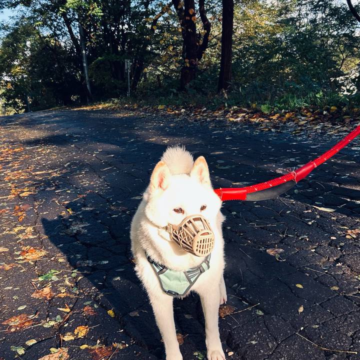 9886b71a be7e 48c9 aacc d664371fe461 1697848325198