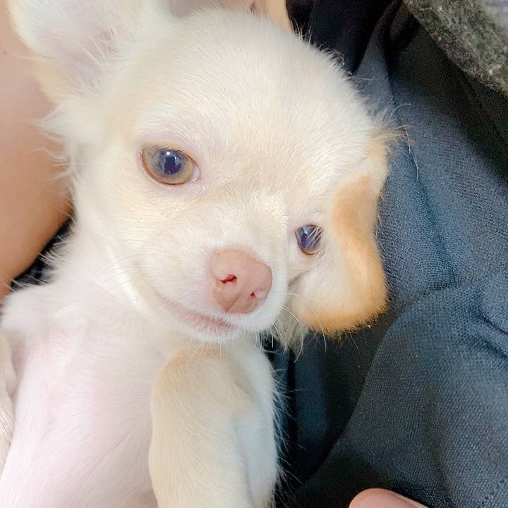 9886c252 c3ff 40a1 bad7 8333c982dd61 1592816841587