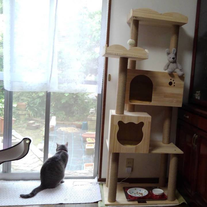 98873466 02cd 4a91 9c7f 0d706b2b3755 1589754441739