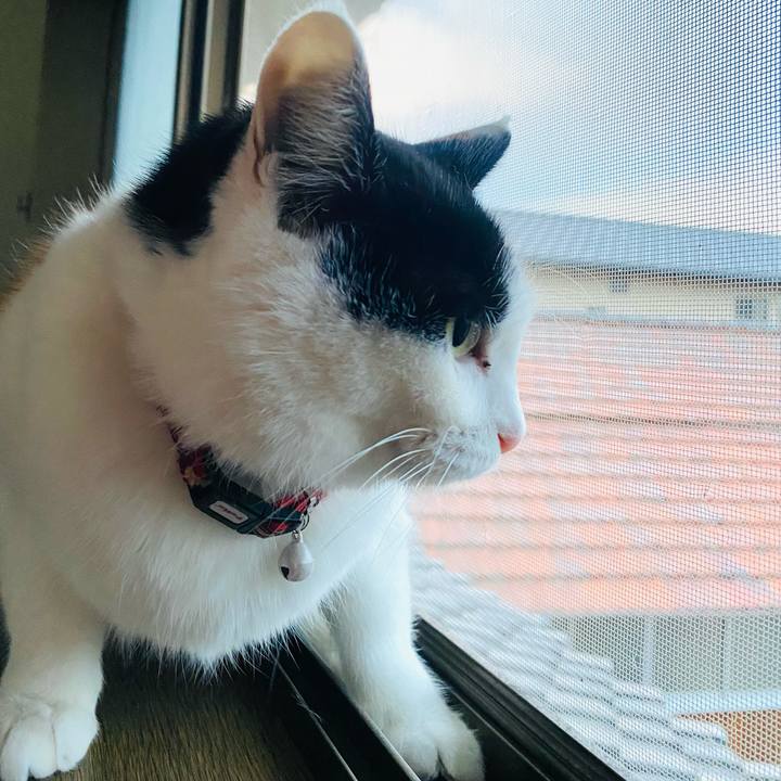 98874b01 7cca 45d4 9344 3610c5cbb7c1 1648850903129