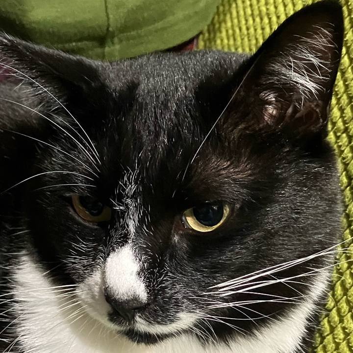 9887527e ddca 4c6c 9c94 02a6ae5efe35 1735369038760