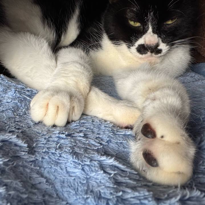 98876db8 36d4 46ea 85be fcbedb7e1b69 1766724681213