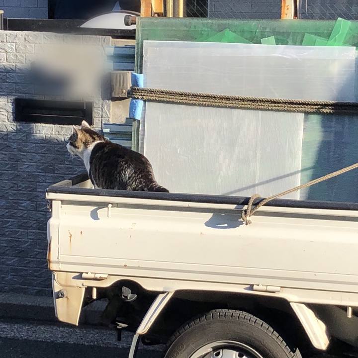 98878418 e025 4b63 b847 6f5250cead81 1650616750050