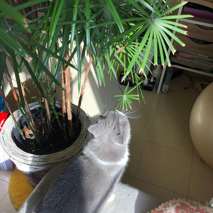 9887bf44 5f18 49c5 bcfd bcda29de8d4f 1548990107059