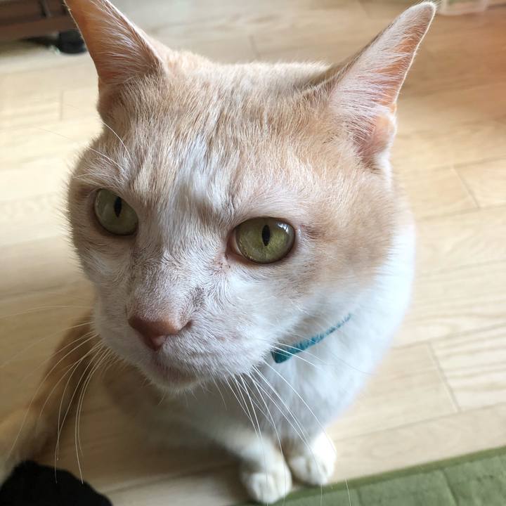 9888167e f1b0 49f6 8861 30b2cab6cf98 1605917755431