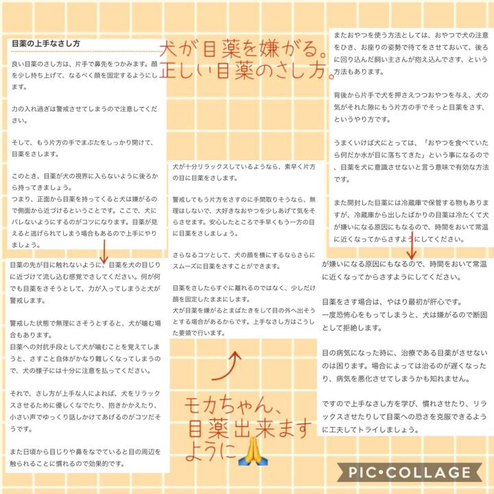 988829e4 4199 44d4 be74 529773830c4f 1541929606963