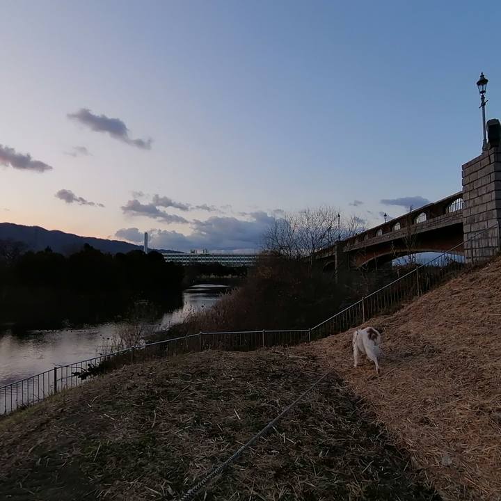 98886ebf 87f3 419a 961a 96959c77e6fd 1611880858091