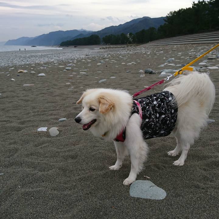 988888b6 12ad 49ad 9525 8371b0effa7b 1550405784308