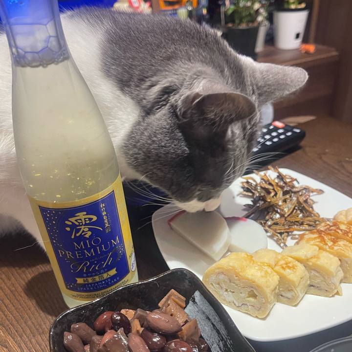 9888c408 30bb 48b9 bc2d 5402c5a286b4 1735733206930