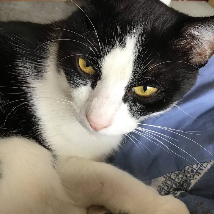 98891997 5c86 4898 8399 db374809ea06 1666056099971