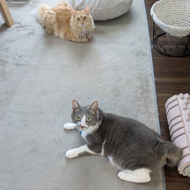 98895e33 ab14 4a15 a74a c03f26b3d832 1758018641174