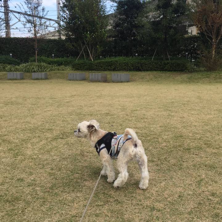 98898964 3bbb 44ca 9933 293fe060ee09 1541935869798