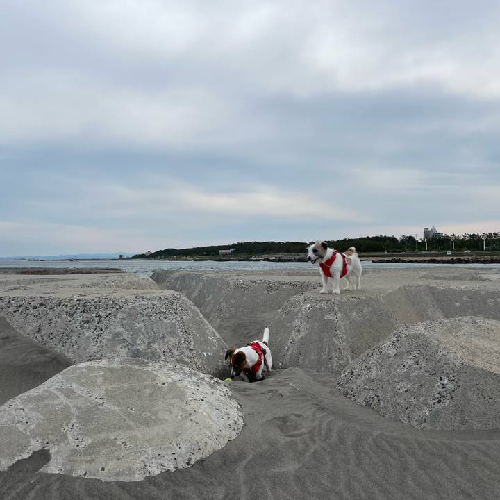 988997c5 dea6 42cb 873b 11c4c66eaf3c 1655166878313