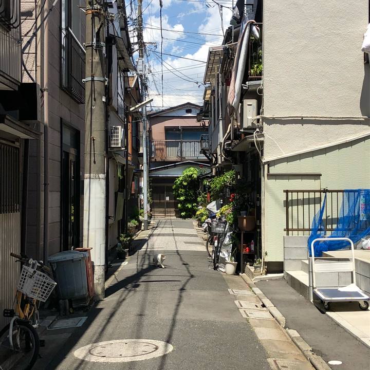 98899fa1 2265 4455 9ce6 43f5c6e49d96 1525418396762