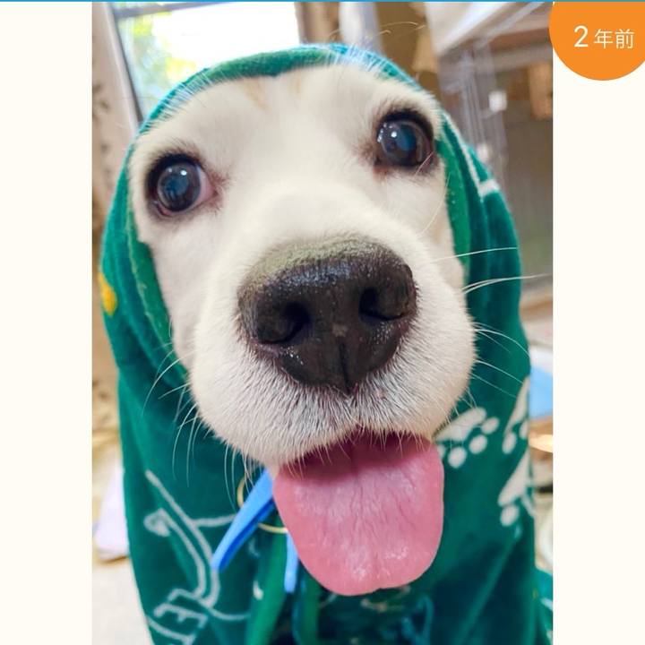 9889e2a0 9800 4b3c b886 f86f041bcb42 1703894324576