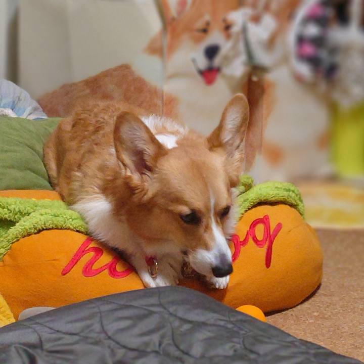 9889fd5e 31d5 4bb5 94b4 527410e2c27b 1766238715713