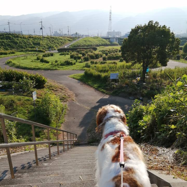 988a04a9 0af5 4943 99c3 3f5bfe35532d 1597708636854