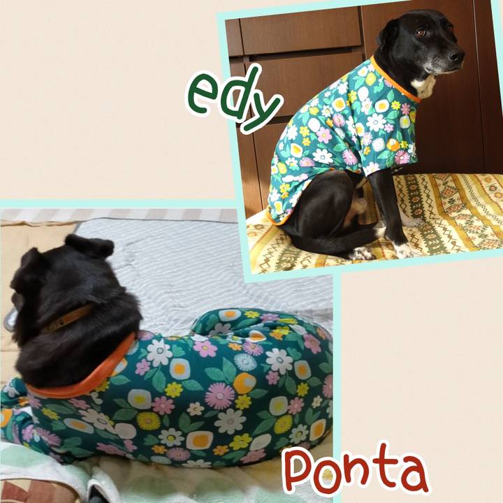 988a0647 c1fb 4eee a009 c1c1b2de280d 1696689821158