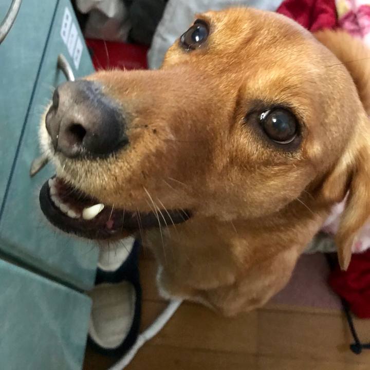 988a1b4e 7ba1 42d7 b7f2 bb65c1f5434c 1511743042617