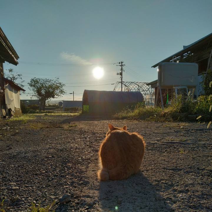 988a1c6a 204f 4d23 9546 860cd30741b8 1726523644356