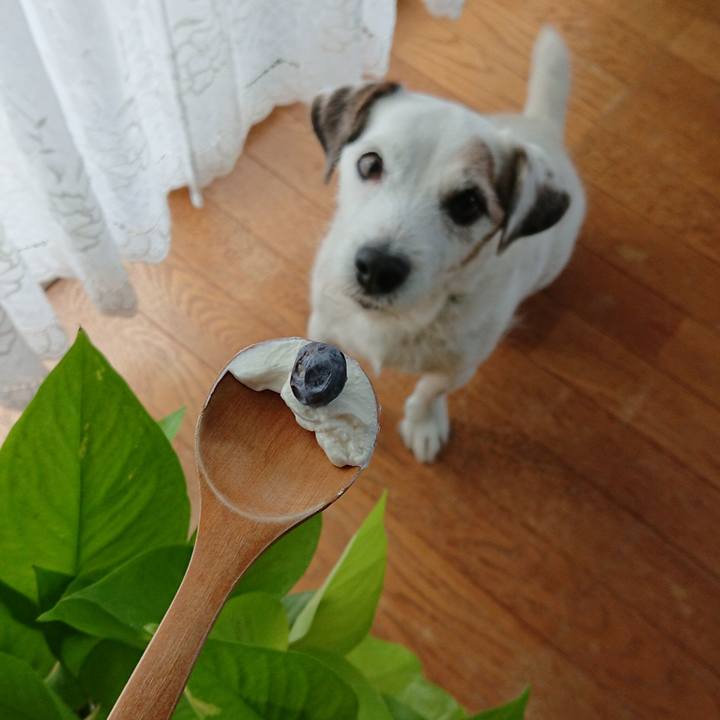 988a2d7f 9d0c 43bd 8977 7310516dc8ac 1537917492253