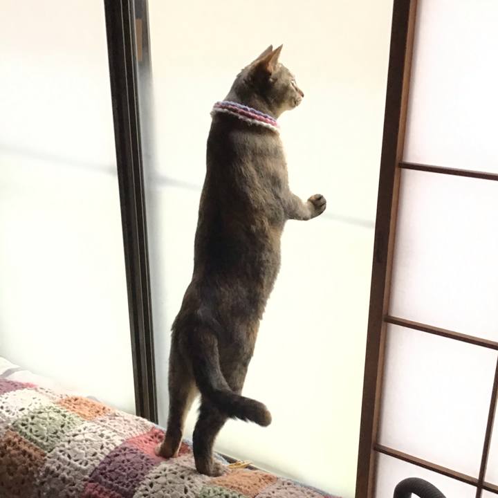 988a4f20 23a0 476b 82fd 6da3af28e911 1621465500403