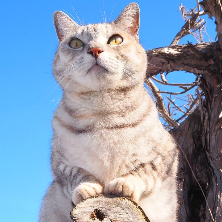 988a7b42 8fbd 4da1 9d53 0e69d0f9fce0 1769688680687