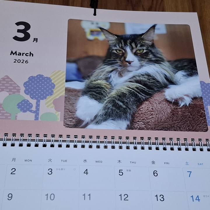 988aaa3d 7ced 4251 b328 89c3c14fcde1 1772450591094