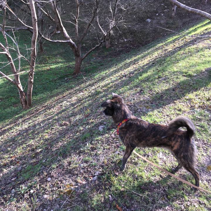 988aafba 5e53 4651 8c58 0e4b6ae8acb3 1514278235086