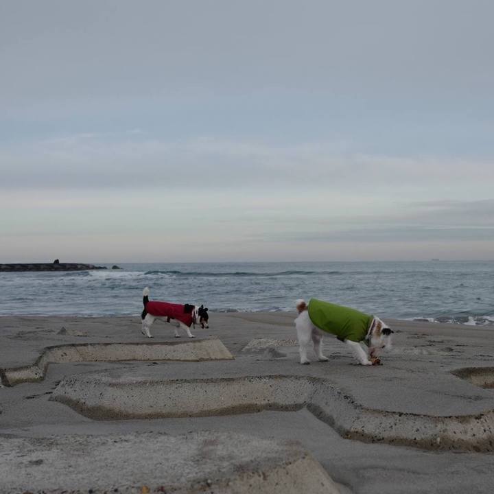 988ac5a4 d7bb 4689 84fd 5d6e16ede161 1515387175097