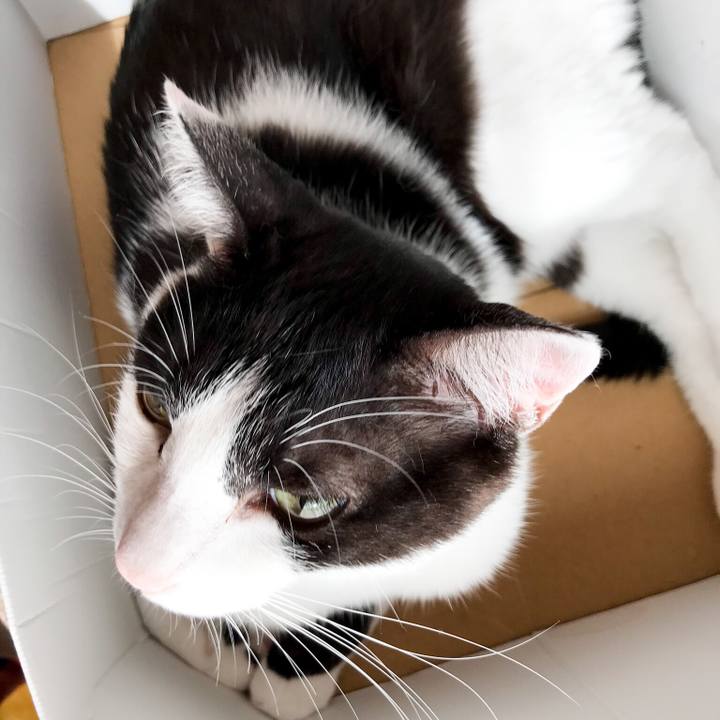 988adb10 3293 46b1 affc ae54b966efc3 1531575980851