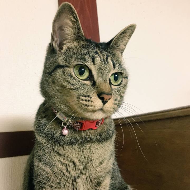 988afe88 983a 4a45 a7e1 79cae882a4ed 1543449662514