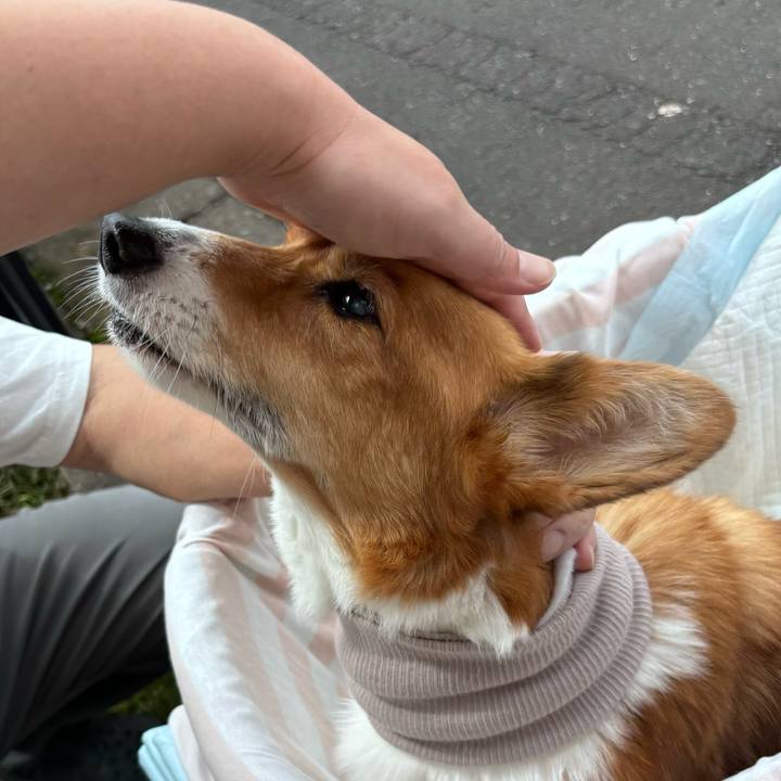 988b1190 249d 44b6 967c 735e83bdc8ea 1758252893718