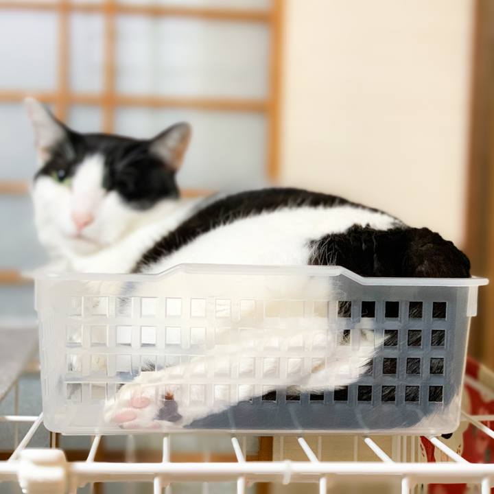 988b41d3 8d94 47ba b516 3a936b69755f 1601257317714