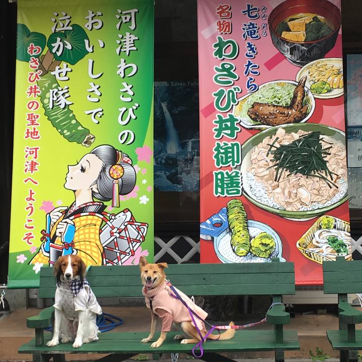 988b73d2 6051 4ec8 b4c0 e8bd90089cef 1544430665467