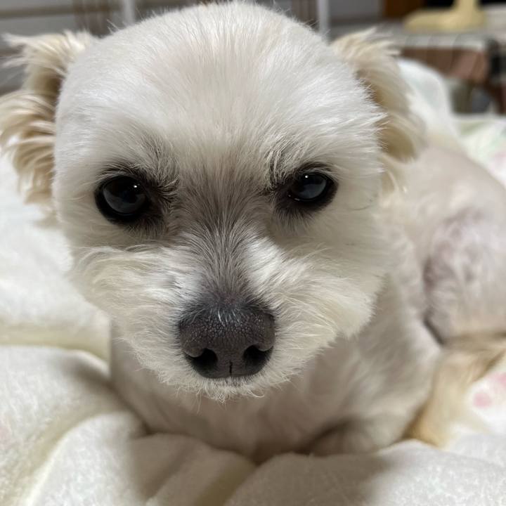 988bce22 5bec 46d7 a820 c761b819cdb4 1652267215141