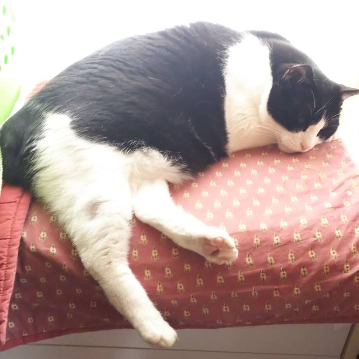 988bff2a bf76 49d4 b348 c9e4365fb543 1584237937058