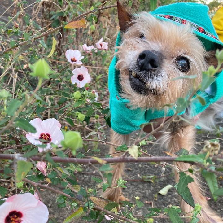 988bff8a de64 40db acf5 b1ea65147bee 1698576837654