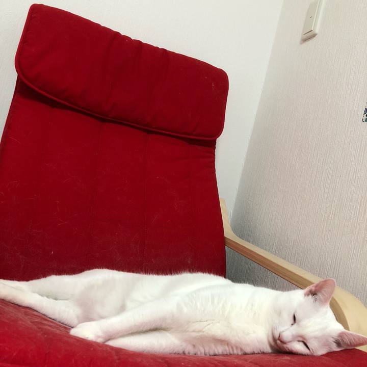 988c175a 020c 413a b682 9ffae5926a51 1521731102184